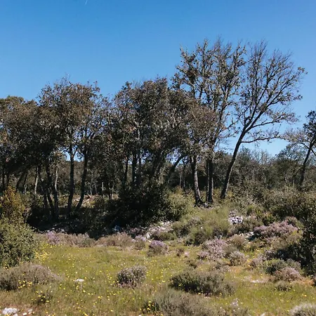 Liberte Verdon Campsite