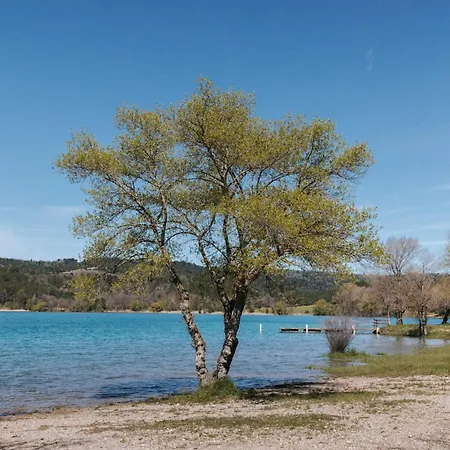Liberte Verdon *